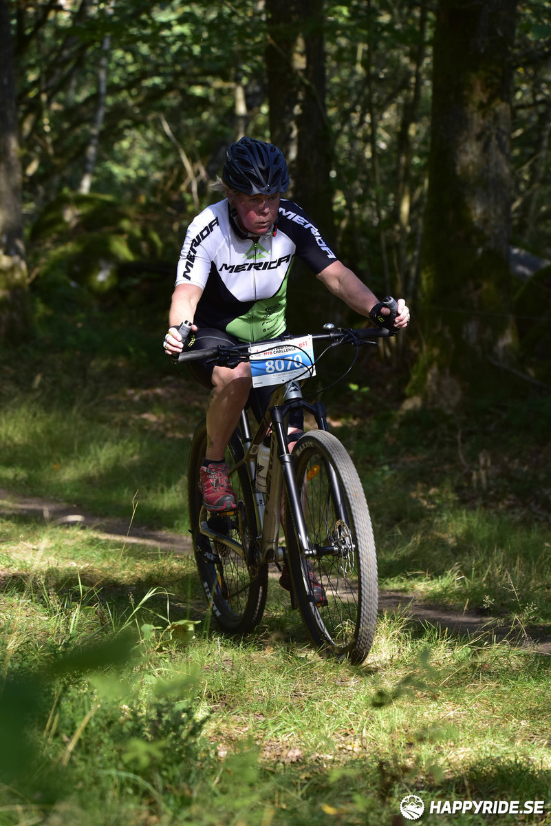 Bild från Bockstensturen 2019